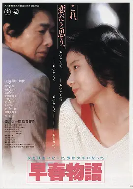 忠奸人电影海报